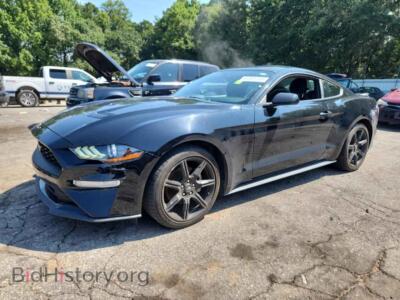 2019 Ford ALL MODELS, black — VIN 1FA6P8TH9K5184663, Copart