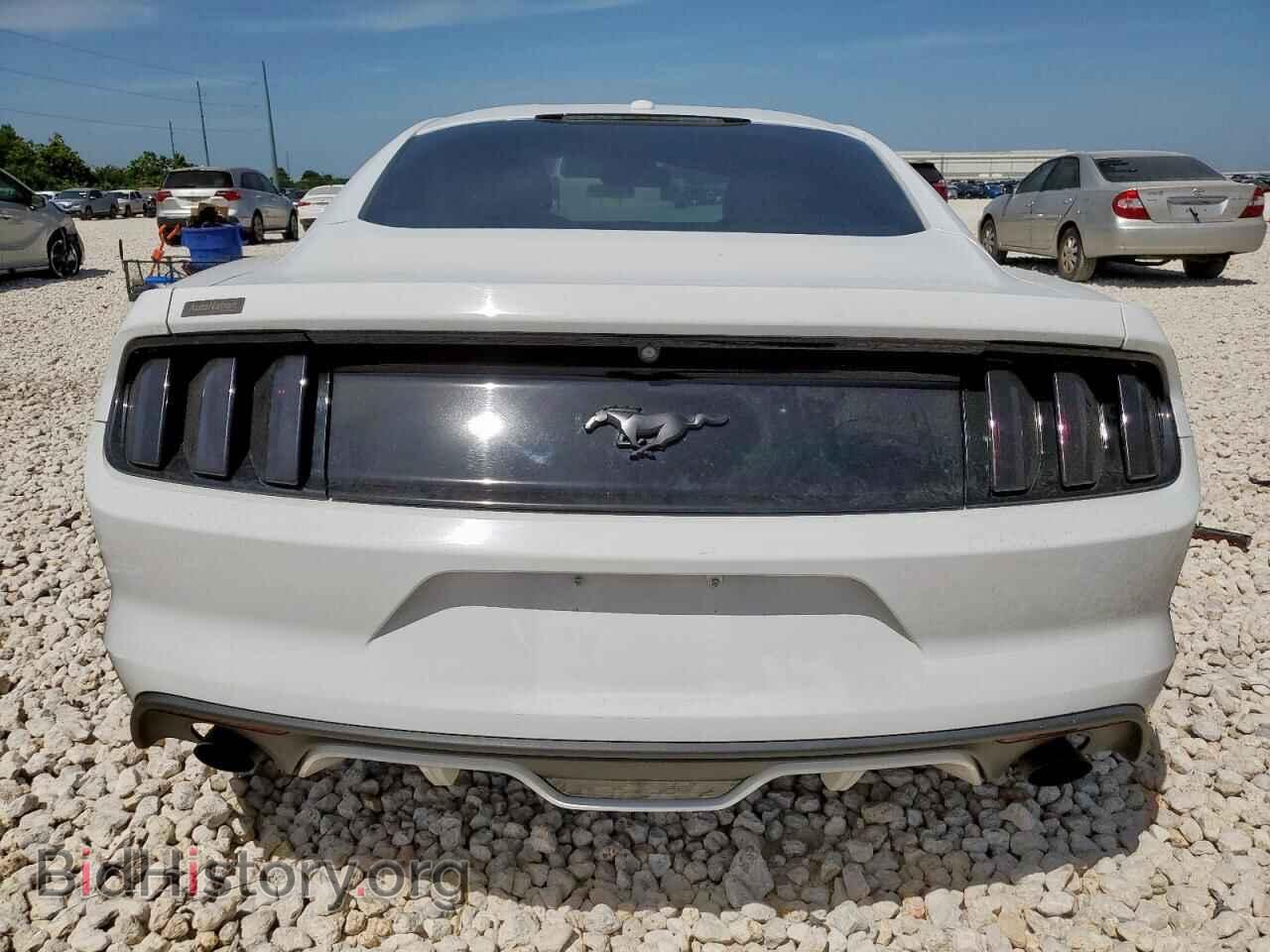 2017 FORD ALL Models - VIN: 1FA6P8TH5H5333336 - Фото 6