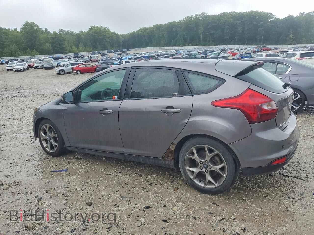 2013 FORD FOCUS - VIN: 1FADP3K25DL120383 - Фото 2