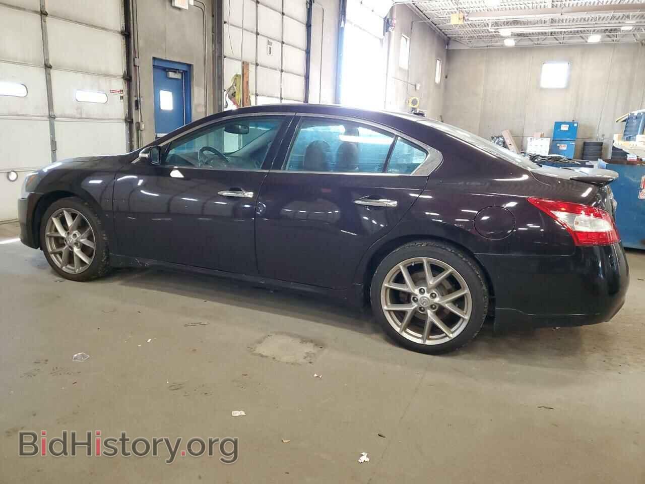 2011 NISSAN MAXIMA - VIN: 1N4AA5AP5BC847145 - Фото 2