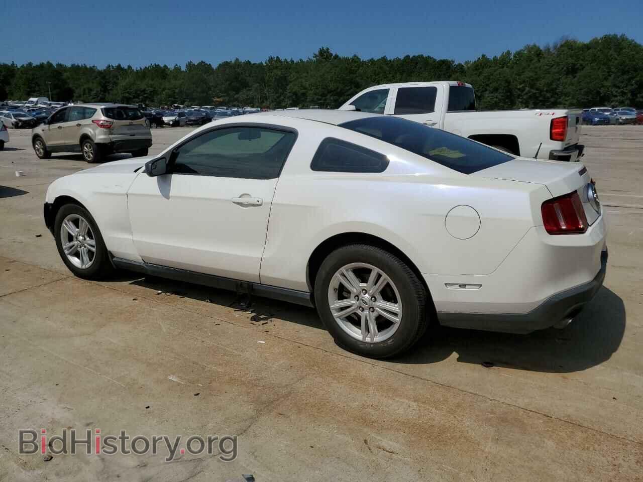 2012 FORD ALL Models - VIN: 1ZVBP8AM1C5241610 - Фото 2