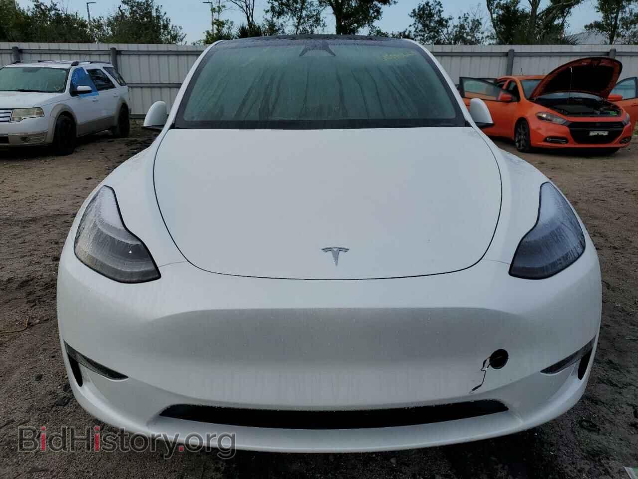 2024 TESLA MODEL Y - VIN: 7SAYGDEDXRF129365 - Photo 5