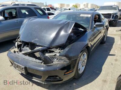 2013 Ford ALL MODELS, black — VIN 1ZVBP8AM3D5219612, Copart