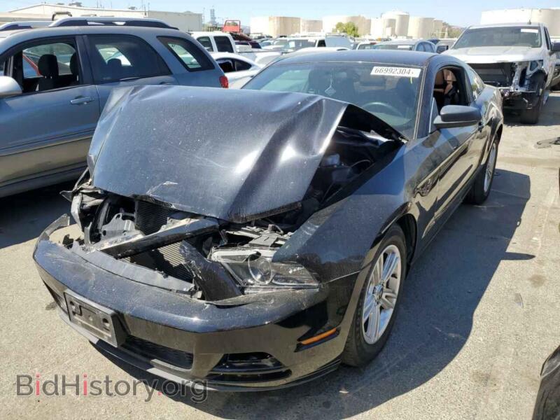 2013 Ford ALL MODELS (VIN 1ZVBP8AM3D5219612) — фото 1 из 12, Copart, повреждение: передняя часть