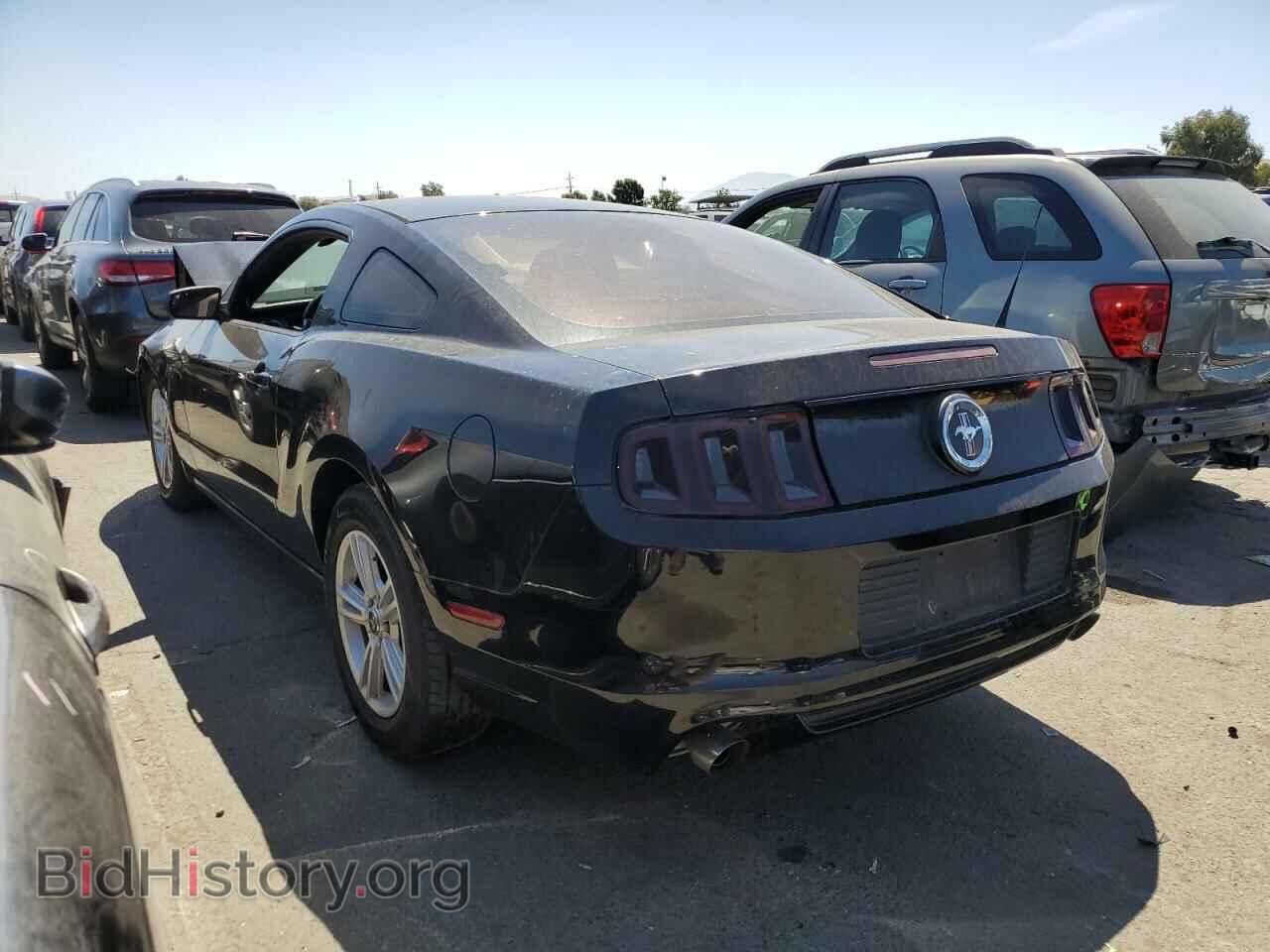 2013 FORD ALL Models - VIN: 1ZVBP8AM3D5219612 - Фото 2
