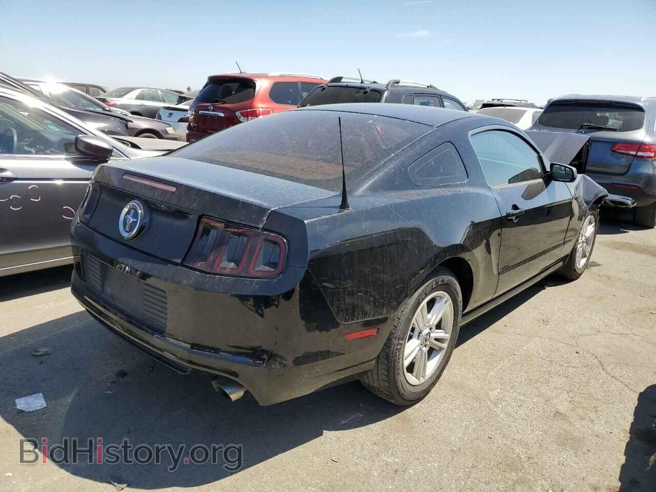 2013 FORD ALL Models - VIN: 1ZVBP8AM3D5219612 - Фото 3