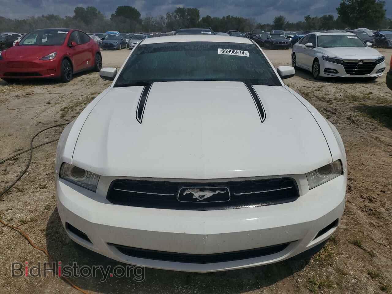 2011 FORD ALL Models - VIN: 1ZVBP8AM9B5101240 - Фото 5