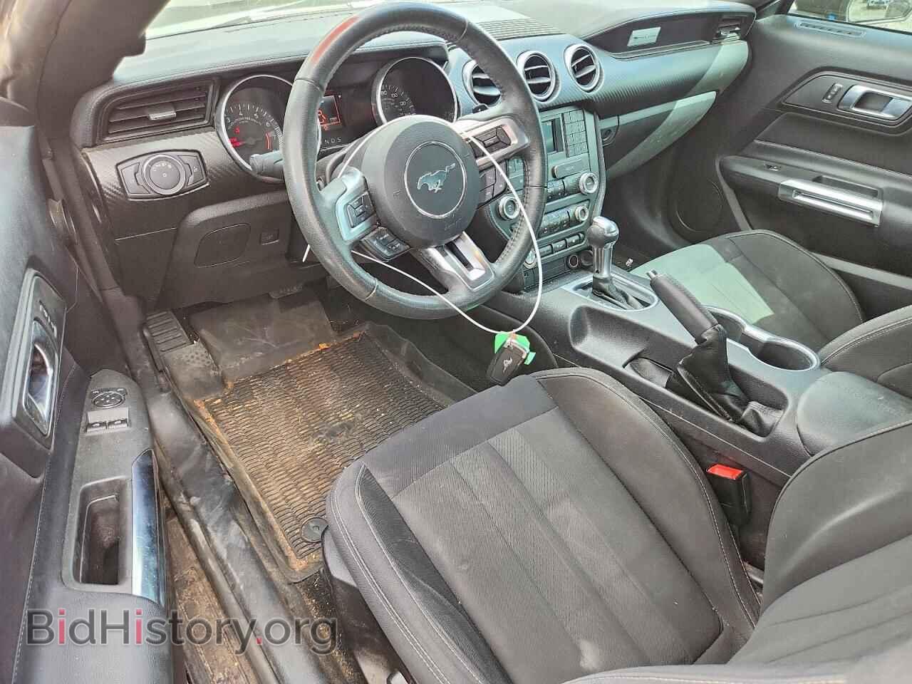 2019 FORD MUSTANG - VIN: 1FA6P8TH8K5176845 - Photo 8