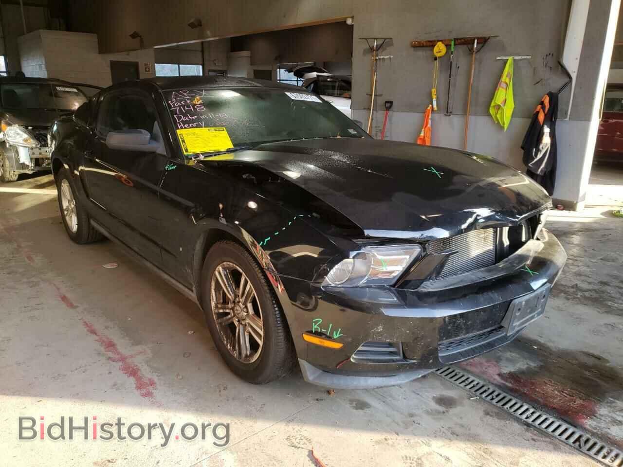 Фотография 1ZVBP8AM4B5105373 - FORD MUSTANG 2011