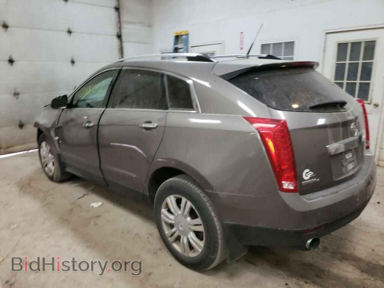 2011 CADILLAC SRX - VIN: 3GYFNDEY3BS532169 - Фото 2