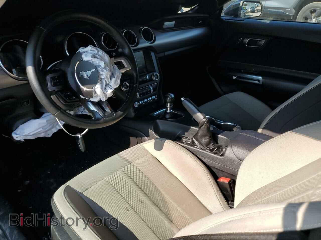 2019 FORD ALL Models - VIN: 1FA6P8TH8K5117620 - Фото 8