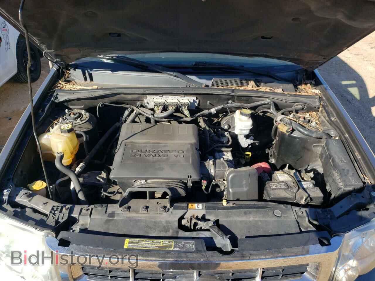 2010 FORD ESCAPE - VIN: 1FMCU0DG2AKB78230 - Фото 7