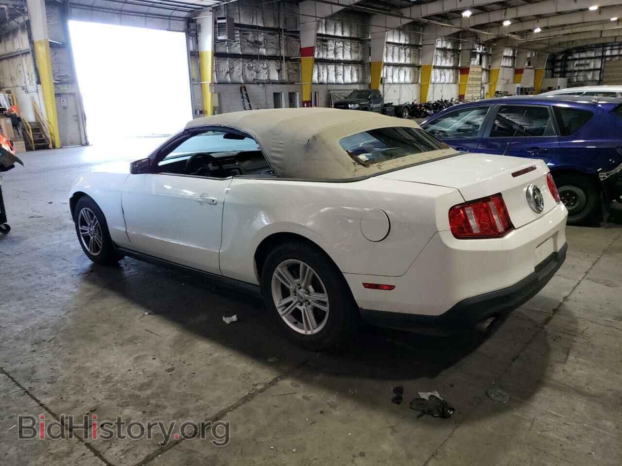 2011 FORD ALL Models - VIN: 1ZVBP8EM2B5162603 - Фото 2