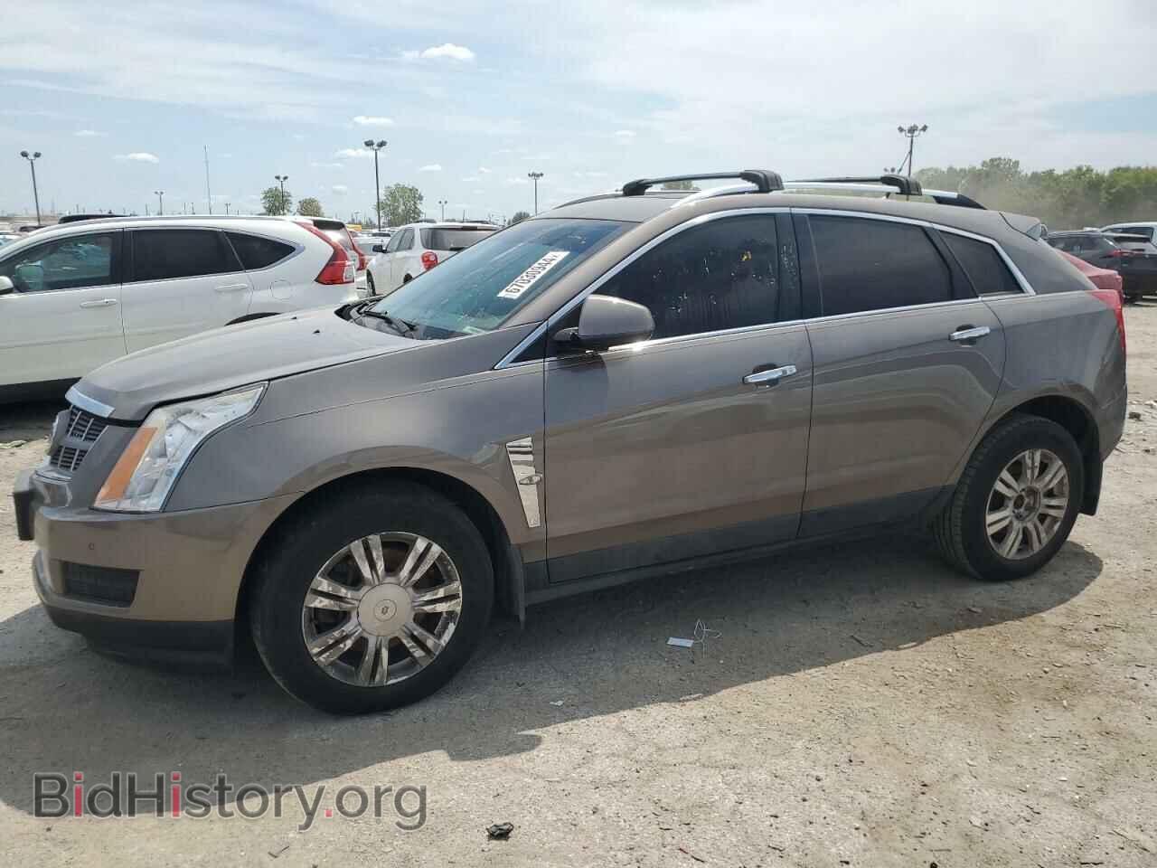 Фотография 3GYFNDEYXBS662837 - CADILLAC SRX 2011