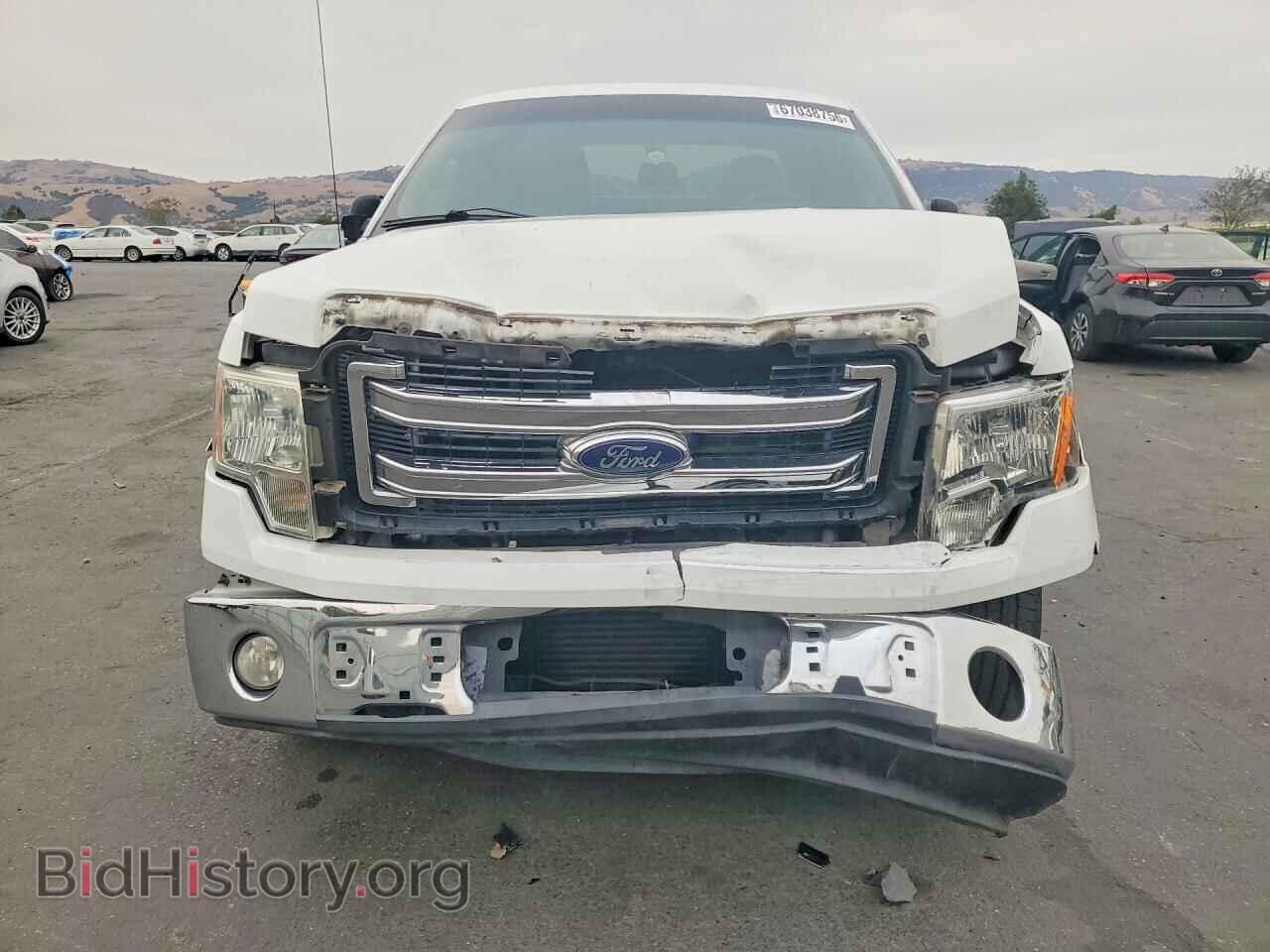 2013 FORD F150 - VIN: 1FTFX1CT9DFD11902 - Фото 5