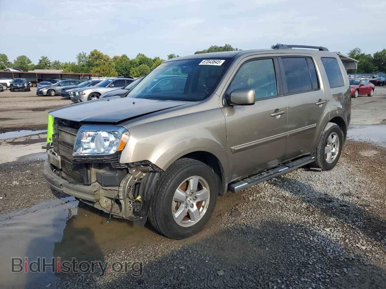 Photo 5FNYF3H56BB005582 - HONDA PILOT 2011