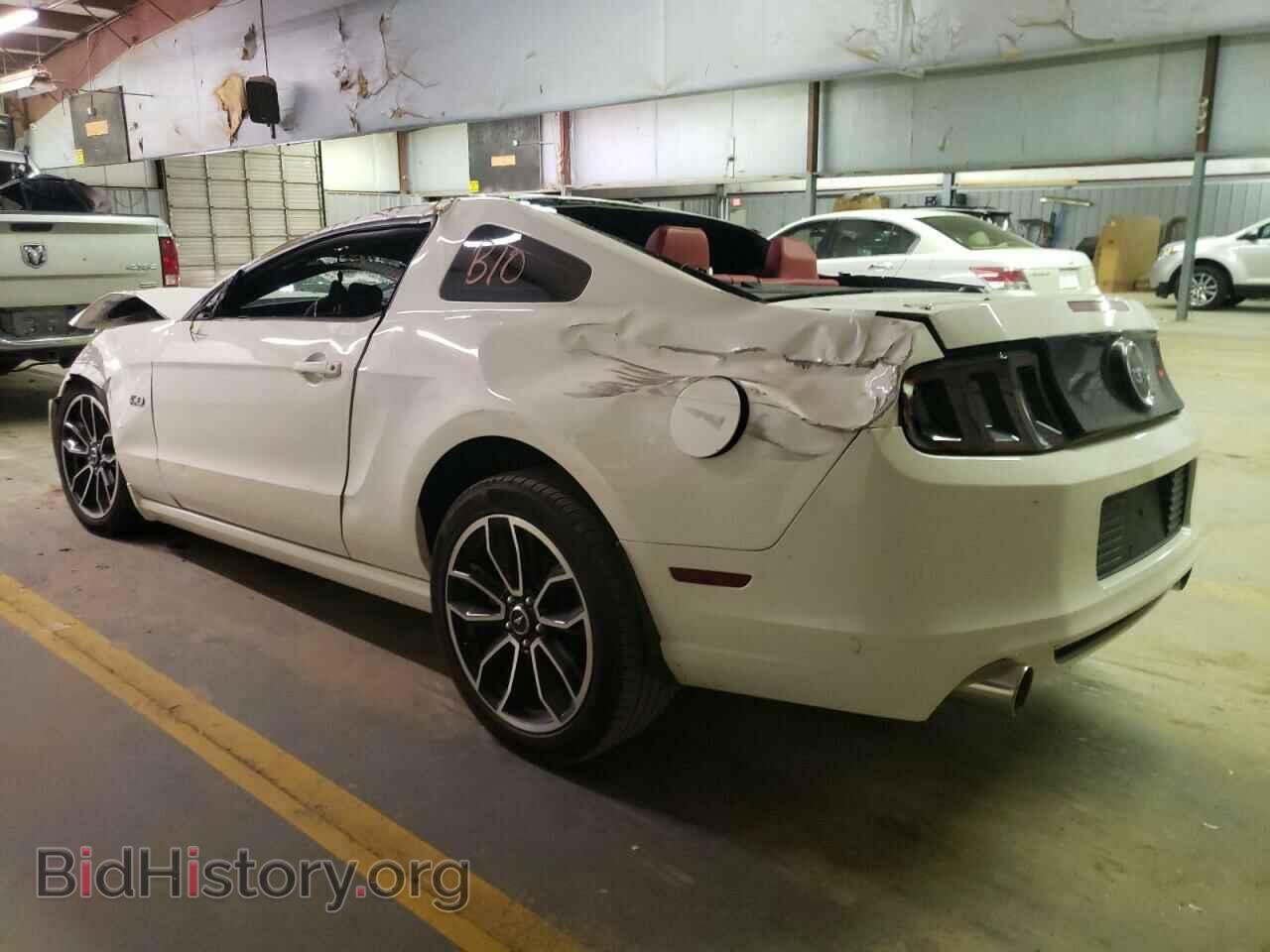 2013 FORD MUSTANG - VIN: 1ZVBP8CF5D5268261 - Фото 2