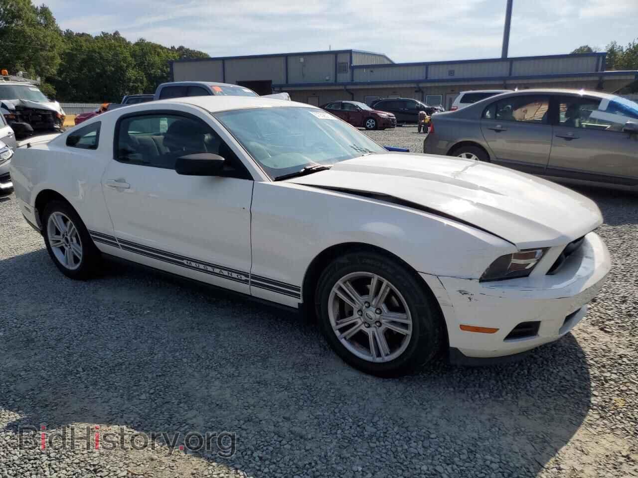 2010 FORD ALL Models - VIN: 1ZVBP8AN6A5123719 - Фото 4