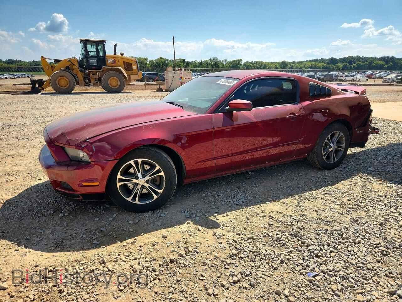 Photo 1ZVBP8AMXE5314072 - FORD MUSTANG 2014