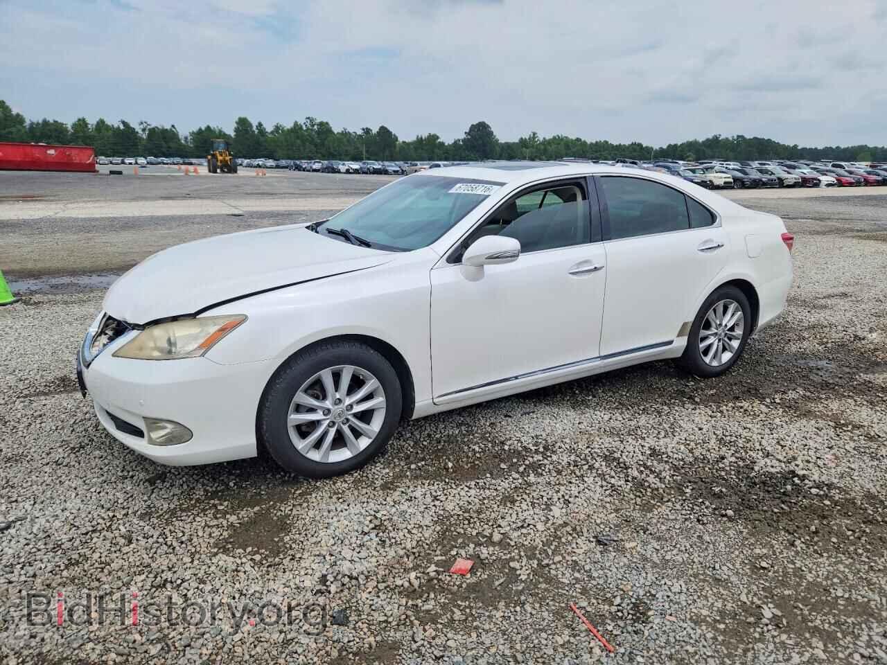 Фотография JTHBK1EG1A2412799 - LEXUS ES350 2010