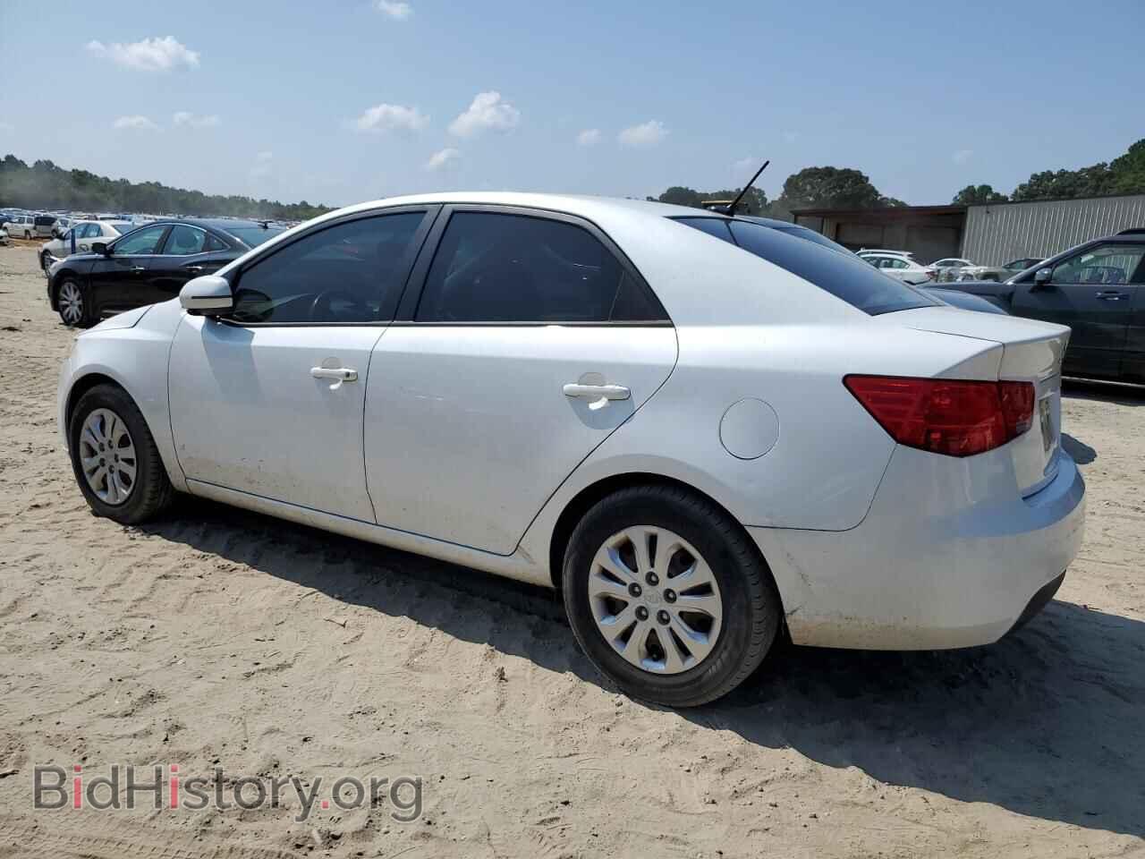 2012 KIA FORTE - VIN: KNAFU4A21C5478096 - Фото 2