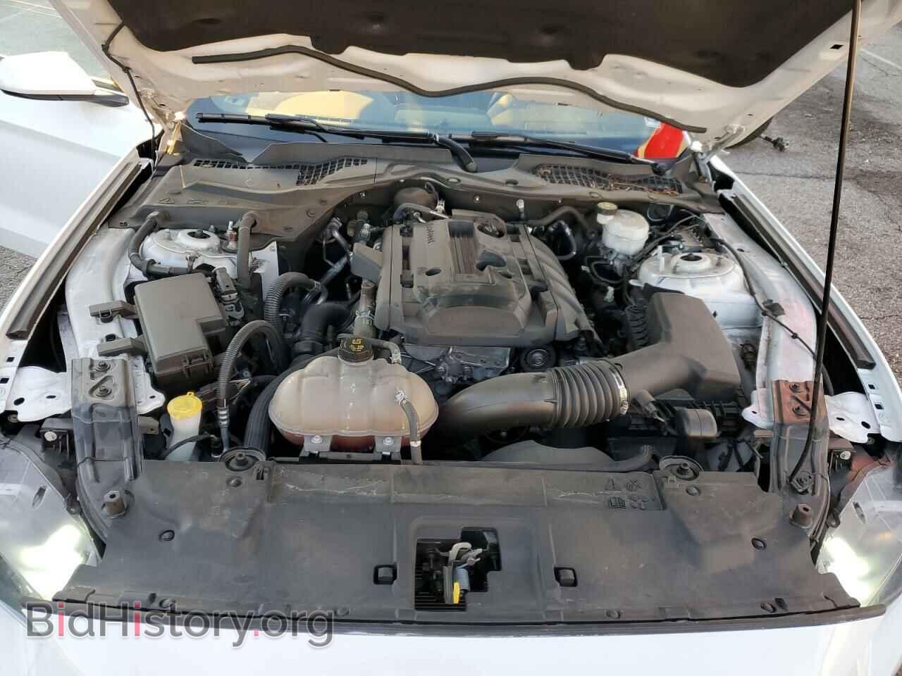 2019 FORD MUSTANG - VIN: 1FA6P8TH7K5194897 - Фото 7
