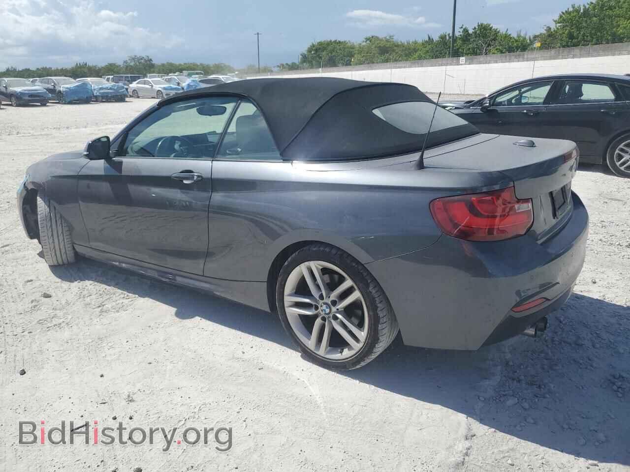 2017 BMW 2 SERIES - VIN: WBA2K9C38HV950552 - Фото 2
