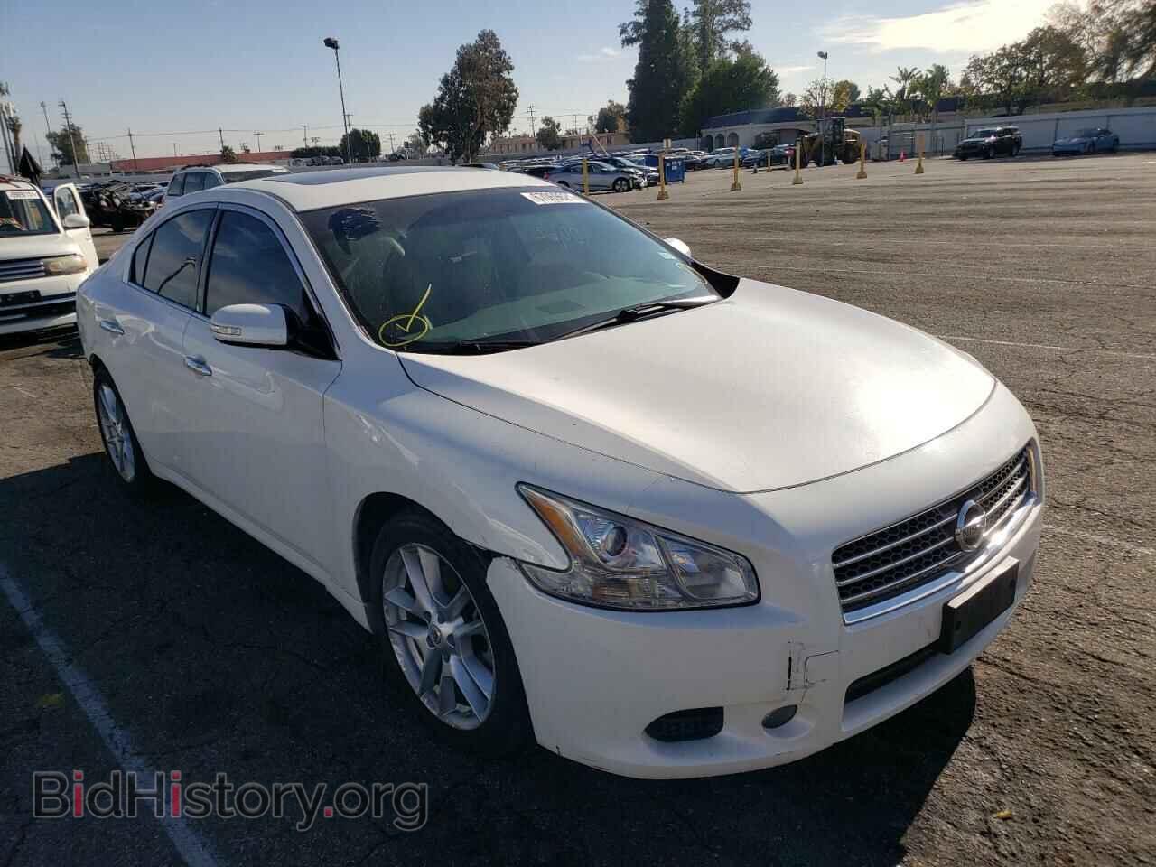 Фотография 1N4AA5AP1BC858353 - NISSAN MAXIMA 2011
