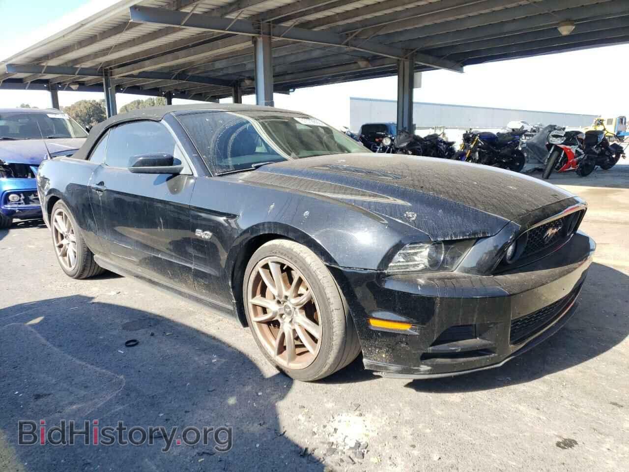 2013 FORD MUSTANG - VIN: 1ZVBP8FF7D5224340 - Фото 4