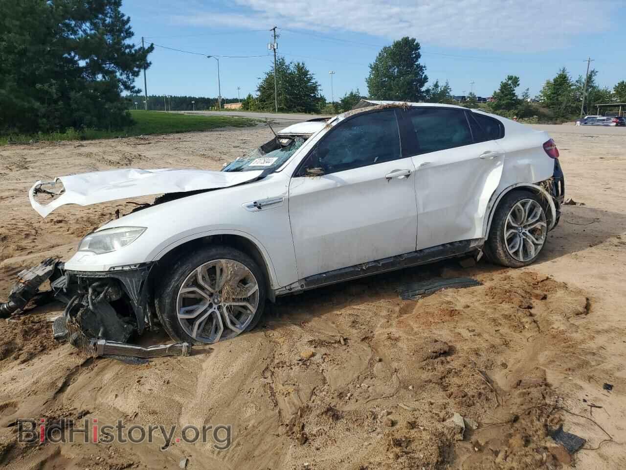 Photo 5YMGZ0C52E0C40356 - BMW X6 2014