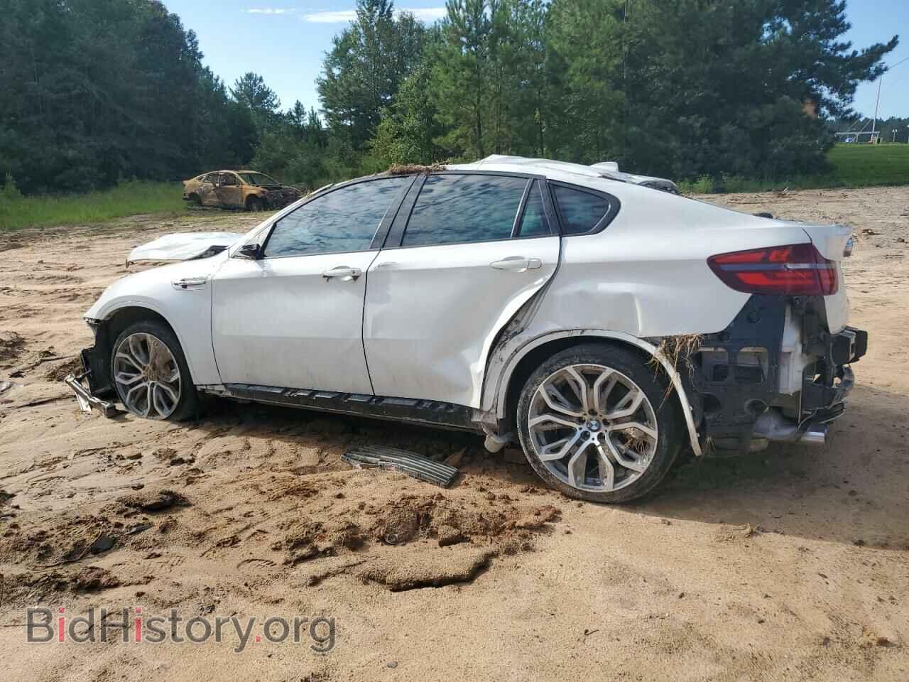 2014 BMW X6 - VIN: 5YMGZ0C52E0C40356 - Фото 2