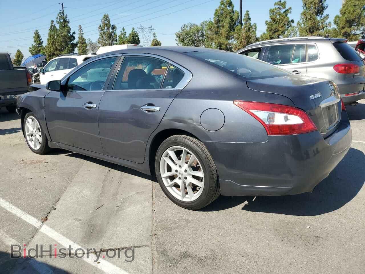 2010 NISSAN MAXIMA - VIN: 1N4AA5AP7AC813173 - Фото 2