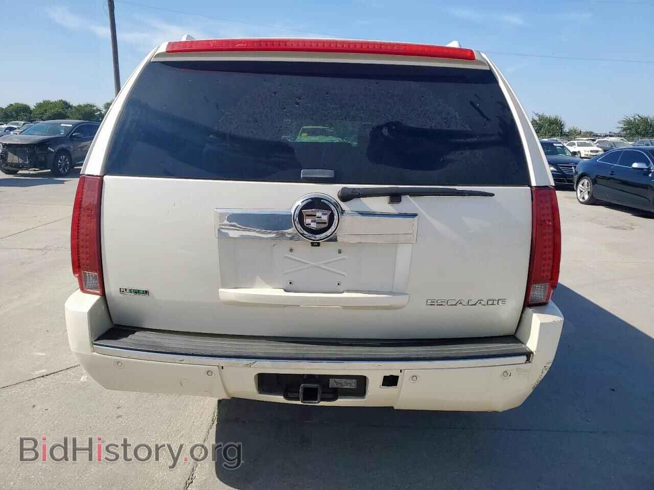 2010 CADILLAC ESCALADE - VIN: 1GYUKJEF3AR215541 - Фото 6