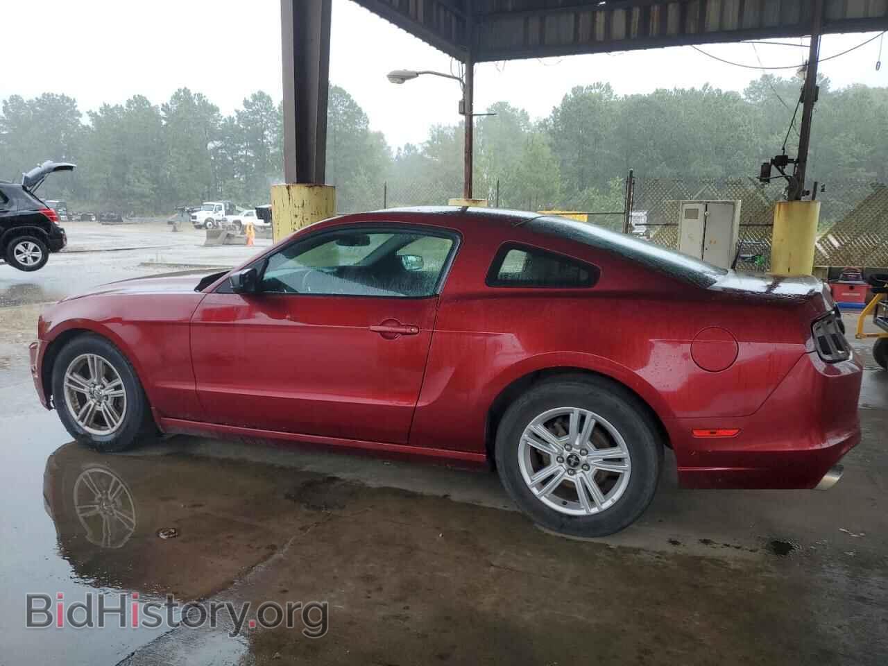 2014 FORD ALL Models - VIN: 1ZVBP8AM9E5330277 - Фото 2