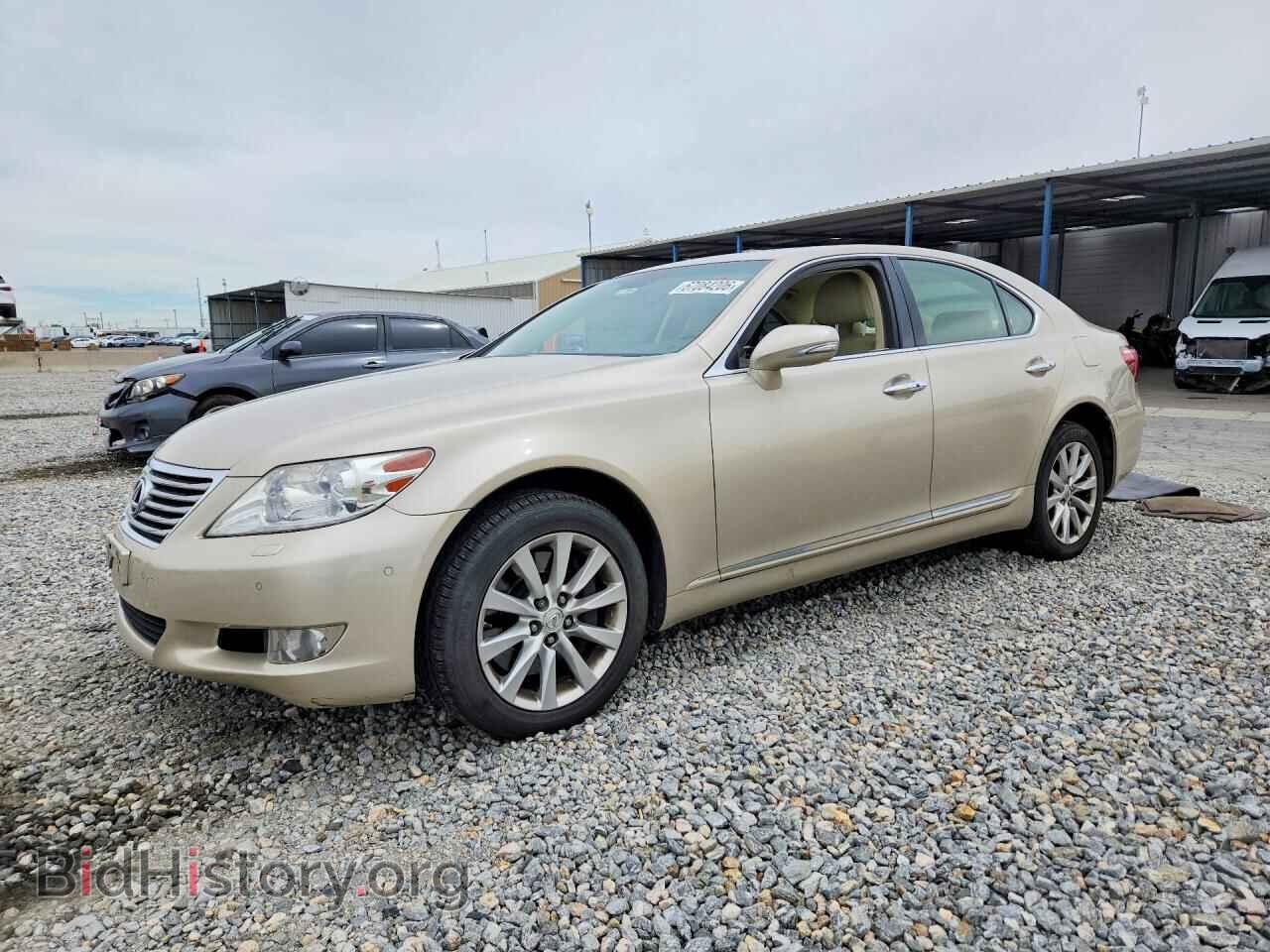 Photo JTHCL1EF5A5004832 - LEXUS LS460 2010