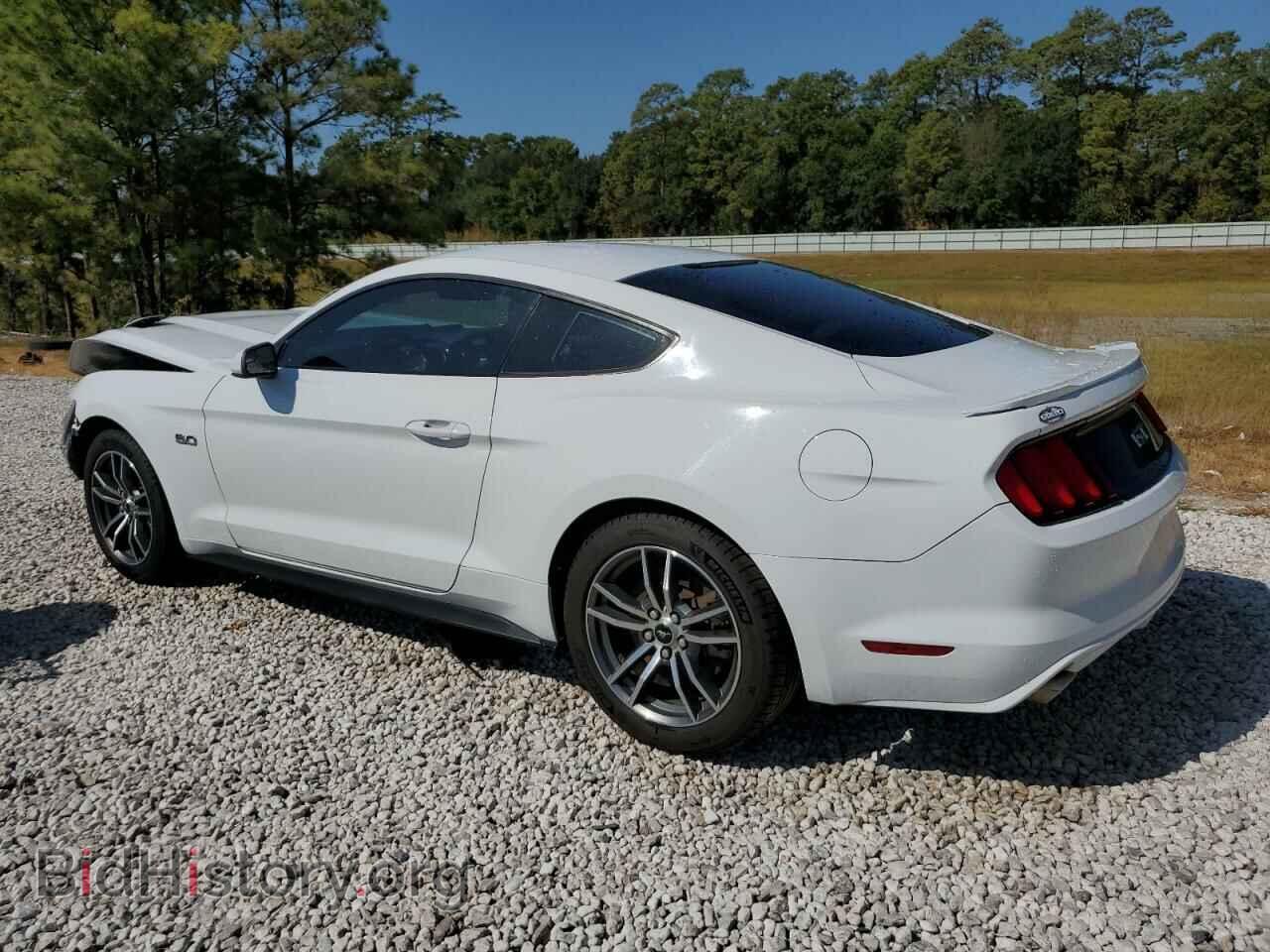 2016 FORD MUSTANG - VIN: 1FA6P8CF5G5310278 - Фото 2