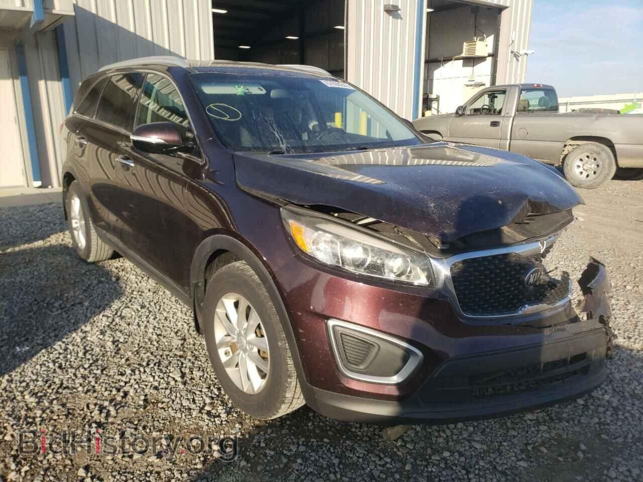 Photo 5XYPG4A31GG082870 - KIA SORENTO 2016