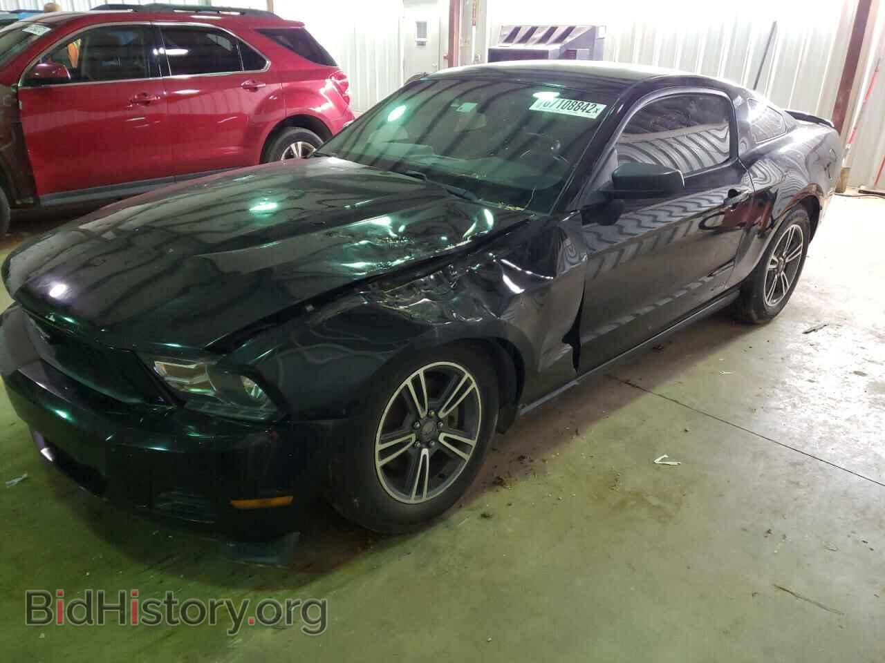 Фотография 1ZVBP8AM9C5207690 - FORD MUSTANG 2012