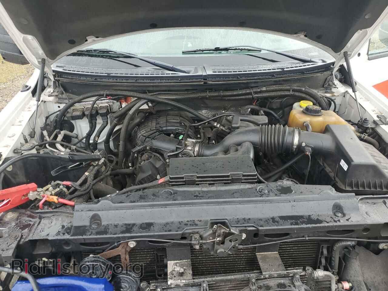 2014 FORD All Models - VIN: 1FTMF1EM2EFB48558 - Фото 11