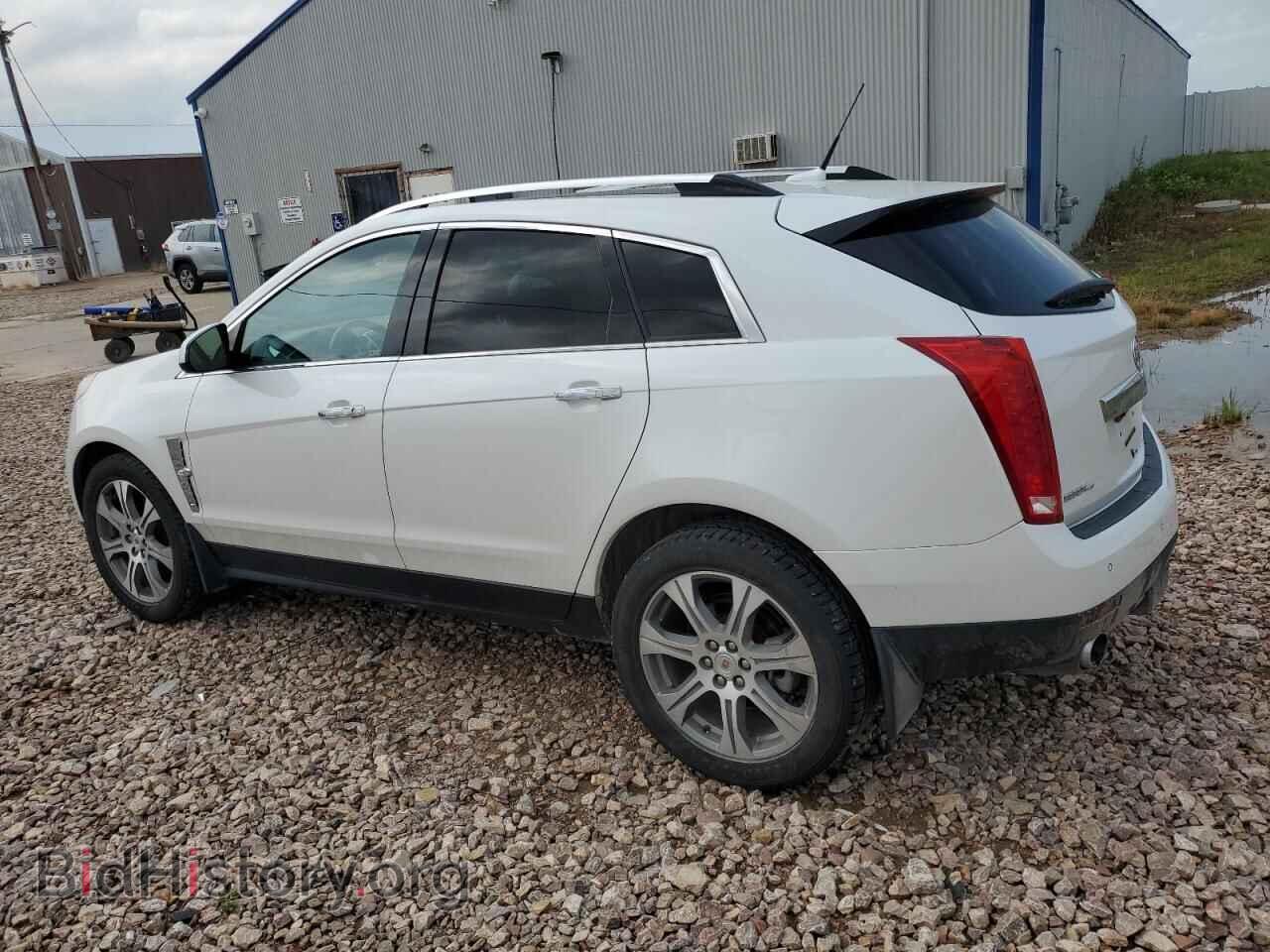 2012 CADILLAC SRX - VIN: 3GYFNFE33CS547367 - Фото 2