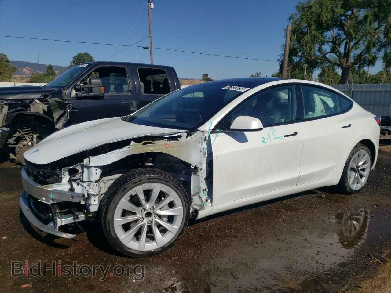 Photo 5YJ3E1EA7NF144126 - TESLA MODEL 3 2022