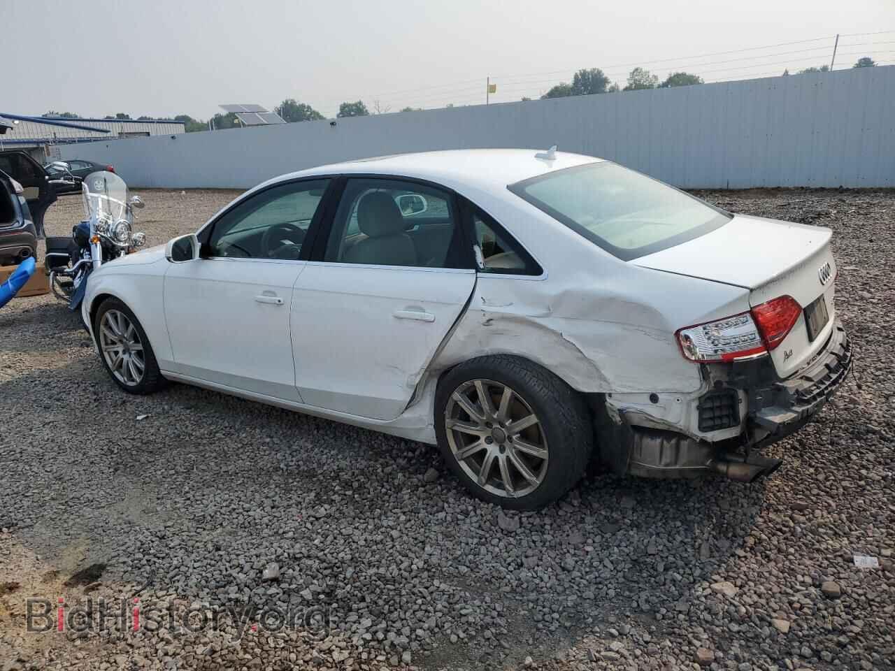 2010 AUDI A4 - VIN: WAUEFAFL8AN062193 - Фото 2