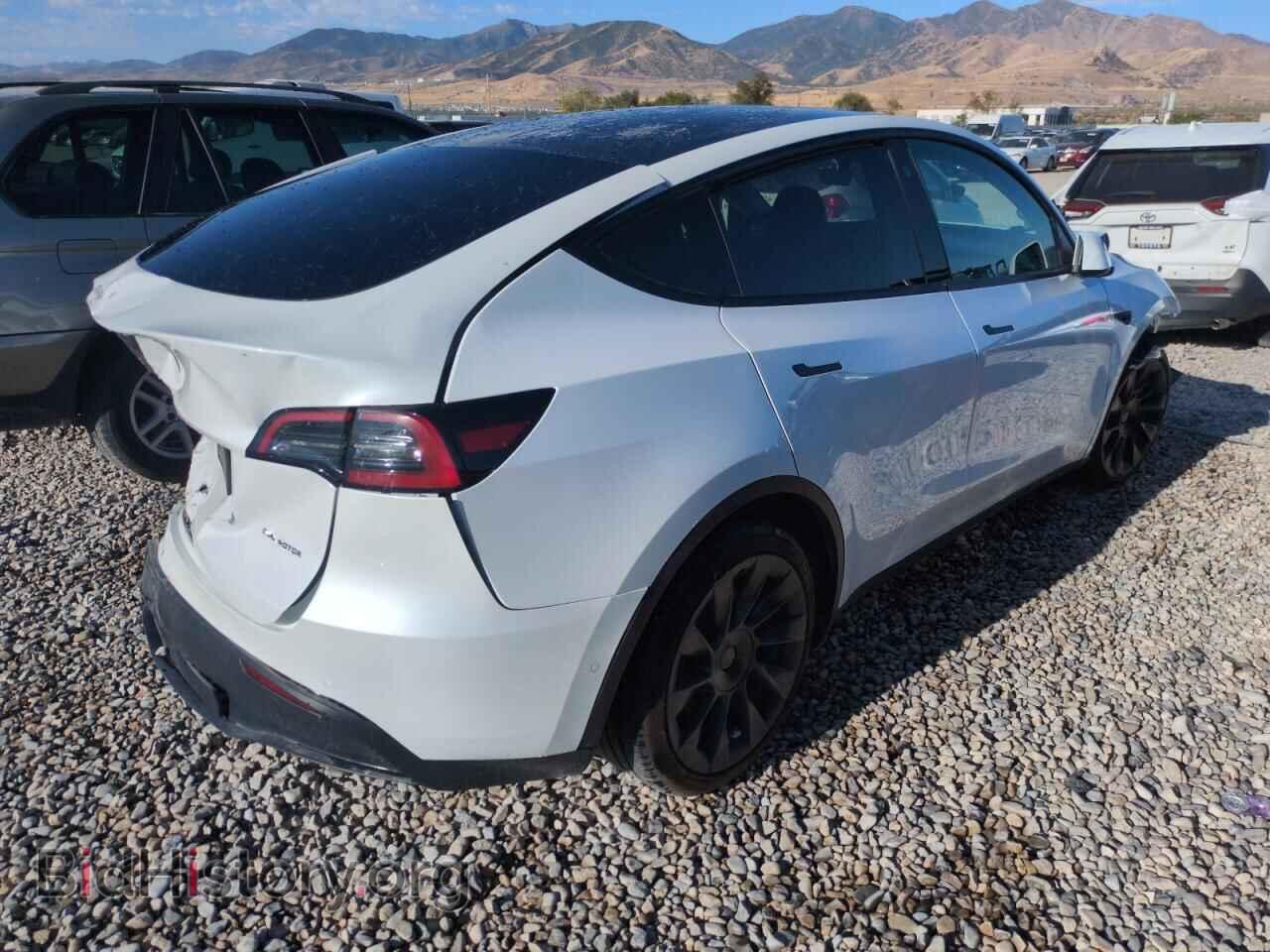 2023 TESLA MODEL Y - VIN: 7SAYGAEE7PF584467 - Photo 3