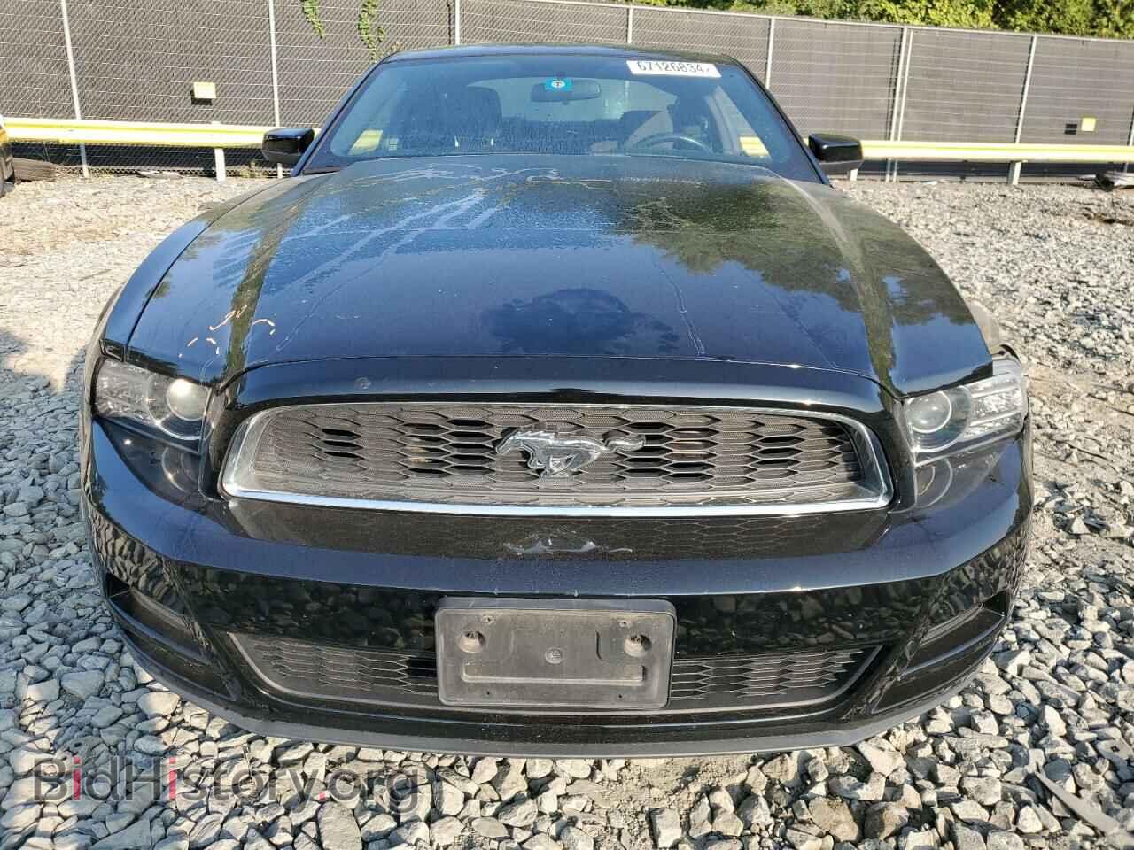 2014 FORD ALL Models - VIN: 1ZVBP8AM6E5254209 - Фото 5