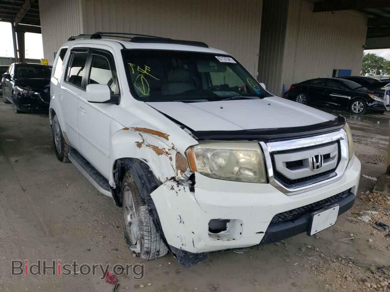 Photo 5FNYF3H51BB032009 - HONDA PILOT 2011