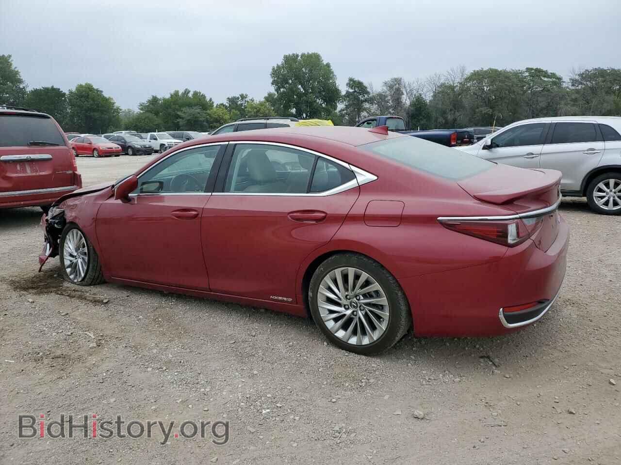 2020 LEXUS ES300 - VIN: 58AE21B14LU007045 - Фото 2