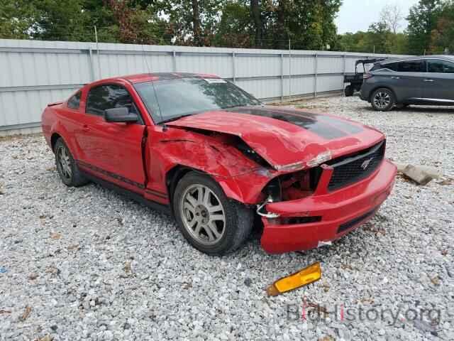 Photo 1ZVHT80N185113438 - FORD MUSTANG 2008
