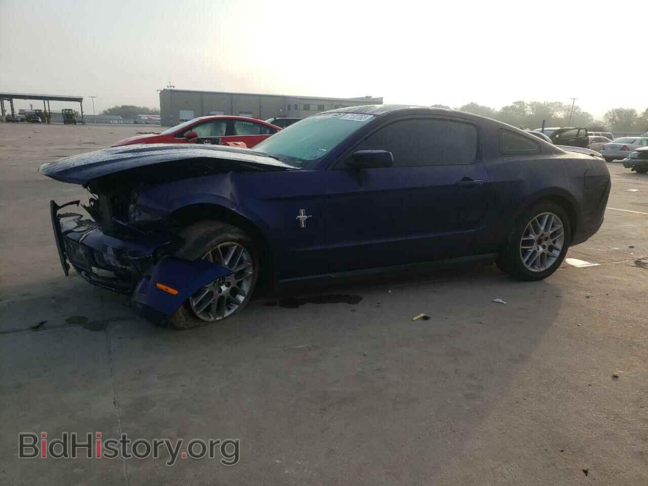 Фотография 1ZVBP8AM9C5285550 - FORD MUSTANG 2012