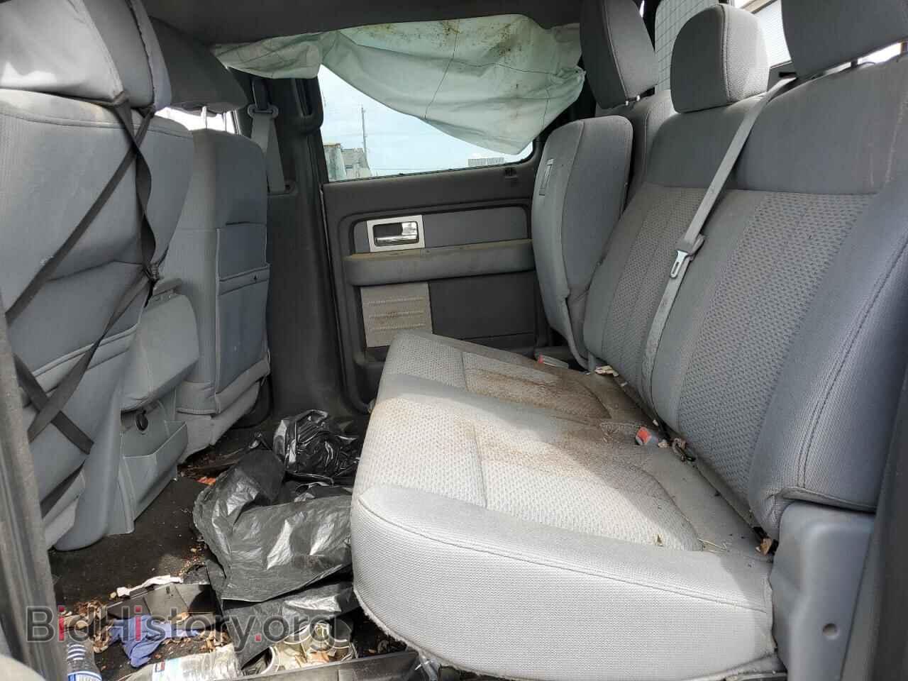 2011 FORD F-150 - VIN: 1FTFW1EF3BFB58232 - Фото 10