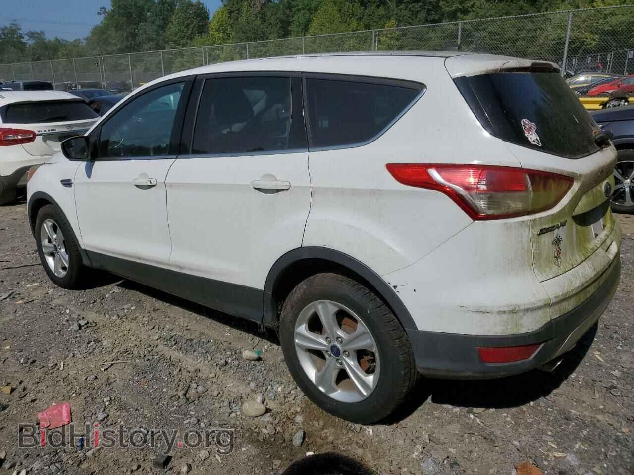 2014 FORD ESCAPE - VIN: 1FMCU9GX5EUE28439 - Фото 2